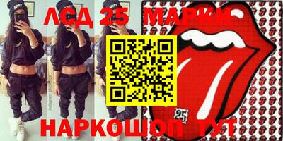 спиды Донской
