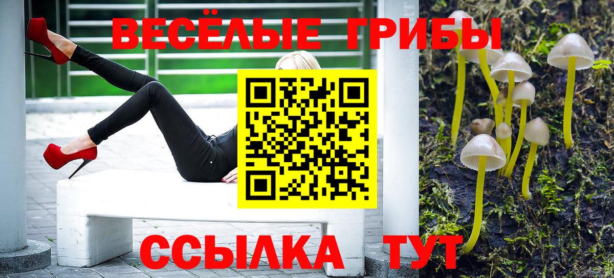 Псилоцибиновые грибы Cubensis  Вход с VPN  Лосино-Петровский 